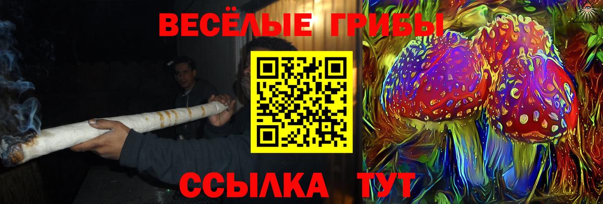 Галлюциногенные грибы Cubensis  Псилоцибиновые грибы GOLDEN TEACHER  Шебекино  Вход с VPN 