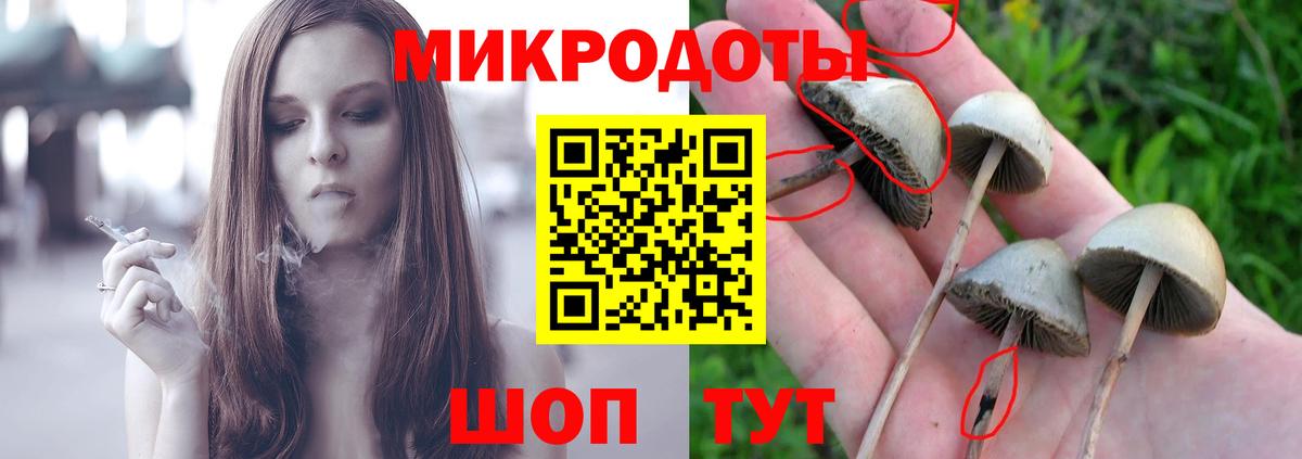 Псилоцибиновые грибы Magic Shrooms Шебекино